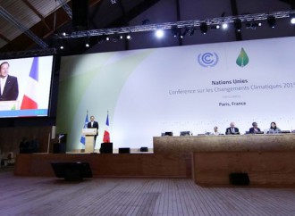 Panamá propone ante Cumbre sobre Cambio Climático esfuerzo internacional para lucha contra la deforestación