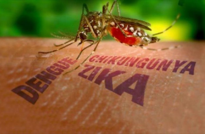 Virus Zika amenaza América Latina