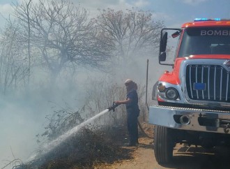 Bomberos de Veraguas sofoca incendio de herbazal en Santiago