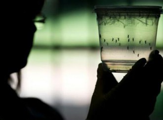 China reporta su primer caso de Zika, proveniente de Venezuela