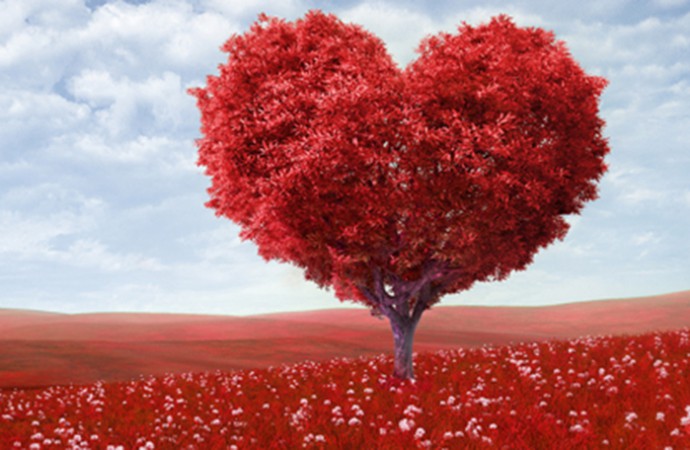 Feliz Día de San Valentín, de los Enamorados y de la Amistad