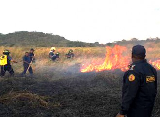 Las provincias con mayor incidencia de incendios de masa vegetal son Chiriquí, Panamá Oeste, Panamá y Coclé.