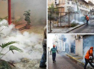 MINSA realiza operativo de fumigación en los predios del Palacio Presidencial