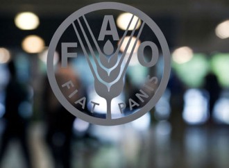 FAO informa oferta laboral para profesionales panameños