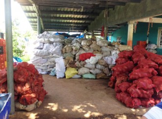 Operación conjunta entre Aduanas y AUPSA retienen más de 800 sacos de ñames