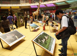 Panameños y Visitantes podrán disfrutar de la Campaña Nacional Bosques Vivos
