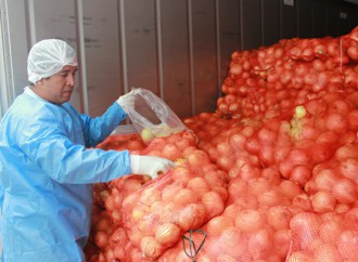Panamá importará cebolla de Perú y Holanda
