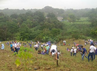 Instituciones públicas y privada participan en reforestación de terrenos en Planta Potabilizadora Chilibre