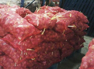 AUPSA ordenó la destrucción de más de 27 mil kilos de cebolla por no cumplir normas de calidad