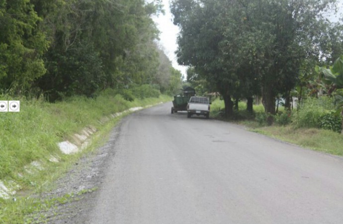 Trabajos de rehabilitación en carretera hacia fincas bananeras de Barú alcanza un avance del 41%