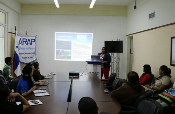 ARAP presentó resultados preliminares del Proyecto sobre Población de Pepinos de Mar en el pacífico panameño