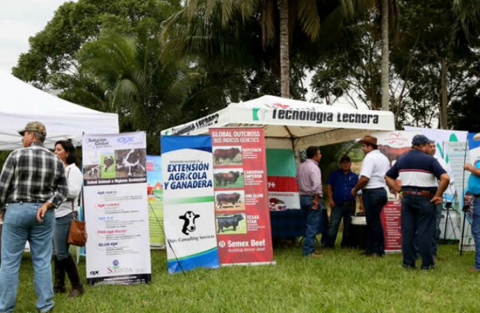 Honduras avanza en Programa Nacional de Extensión Agrícola