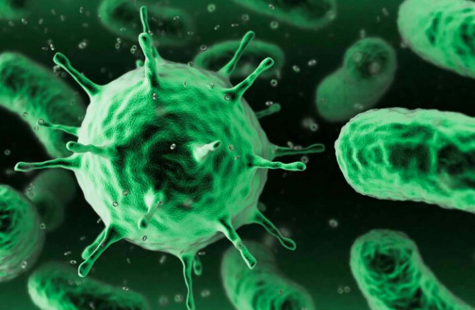 Conozca las 12 familias de bacterias que requieren «urgente» nuevos antibióticos
