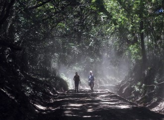 Presidente Varela firma Decretos que potenciarán el turismo verde en Panamá