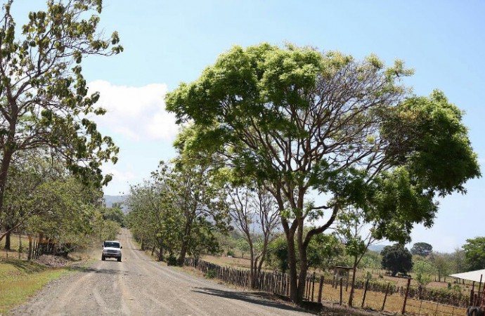 Presidente Varela pone en marcha rehabilitación de más de 90 kilómetros de carretera en Los Santos