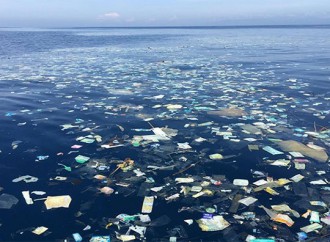 ONU lucha por mantener los océanos limpios de plásticos