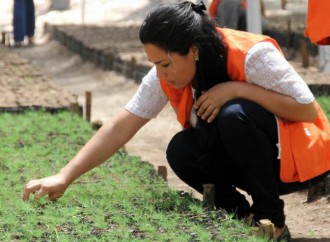 Honduras presentó Plan Maestro ABS para la recuperación de bosques