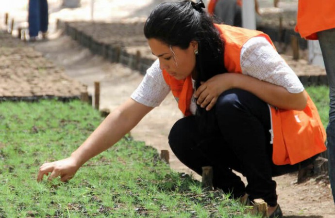 Honduras presentó Plan Maestro ABS para la recuperación de bosques