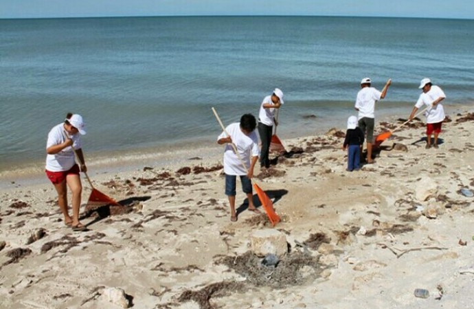 Activistas celebran el Día Mundial del Medio Ambiente limpiando playas y bosques