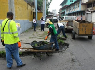 MOP realiza acciones de mantenimiento vial y ornato de la ciudad