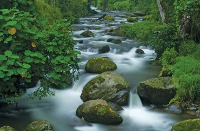 UNESCO declaró a Savegre como nueva Reserva de la Biofera para Costa Rica