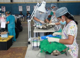 Oficina de Rescate Animal ha realizado con éxito más de 23 mil esterilizaciones a perros y gatos