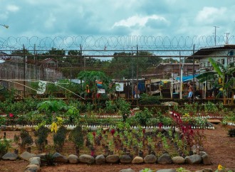 Proyecto Ecosólido del Centro Penitenciario La Joyita cumple su 3er año de la mano del programa Basura Cero
