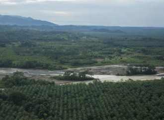 Más de 124 mil hectáreas en cultivos fueron afectados por la tormenta Nate en Costa Rica