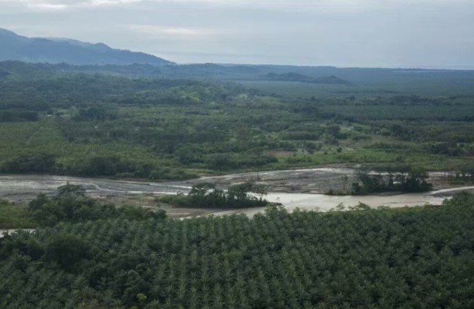 Más de 124 mil hectáreas en cultivos fueron afectados por la tormenta Nate en Costa Rica