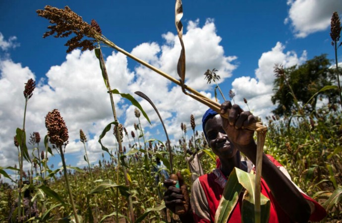 FAO pide al G7 medidas urgentes para frenar la malnutrición a nivel mundial