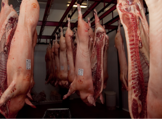 Argentina registró nuevos records en consumo y producción de carne porcina durante 2017