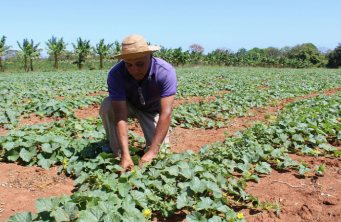 Presidente Varela sanciona leyes en apoyo al sector agro del país