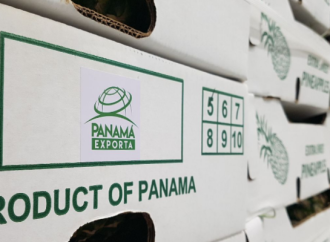 Empresa Primero Cuarenta Group se suma a “Panamá Exporta” al enviar Piñas a Dubái