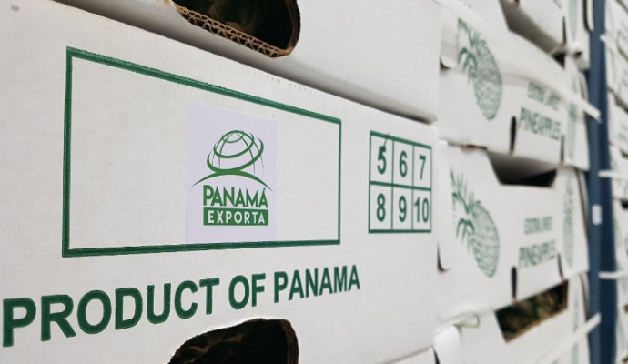 Empresa Primero Cuarenta Group se suma a “Panamá Exporta” al enviar Piñas a Dubái