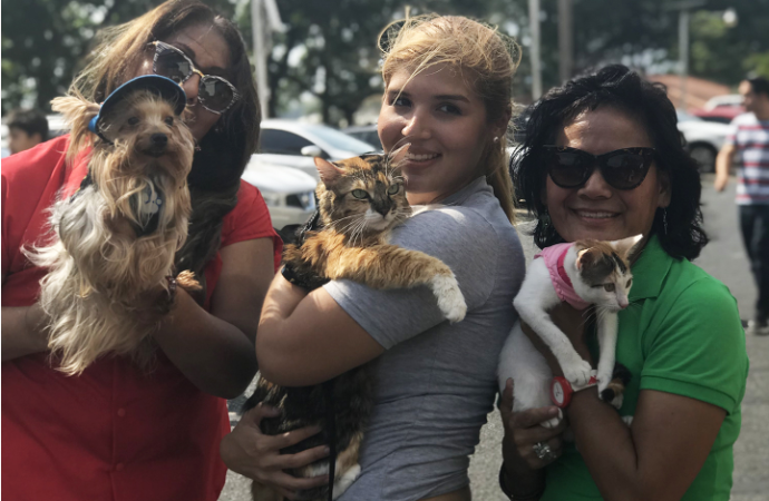 BBQ & PET DAY – Holiday Inn at the Panama Canal
