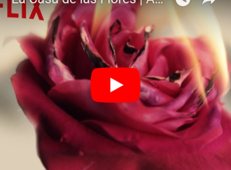 Las apariencias engañan… La Casa de las Flores estelarizada por Verónica Castro, Aislinn Derbez y Cecilia Suárez