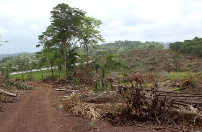 Ministerio de Ambiente mantiene verificación del desempeño ambiental de megaproyectos viales en Panamá Oeste