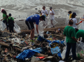Casi 9 toneladas de plástico se recolectaron en las playas de Costa del Este