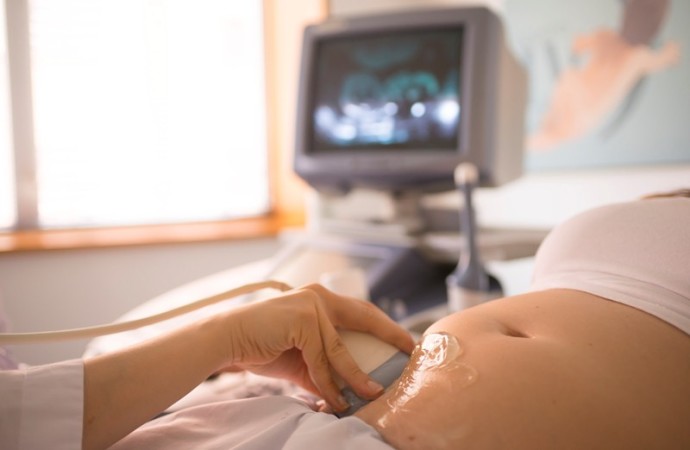 La transferencia diferida del embrión incrementa las probabilidades de embarazo en mujeres con obesidad