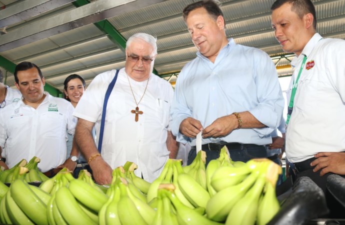 Banapiña realiza exitosa exportación de las primeras 3 mil cajas de Banano al mercado de los Estados Unidos