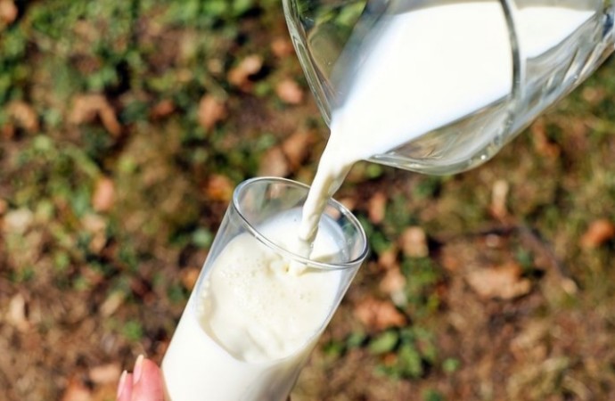 Beneficios de los lácteos en la salud