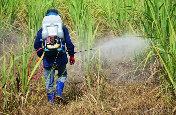 Expertos analizarán impacto del glifosato en la agricultura durante el Congreso Latinoamericano de Malezas 2019