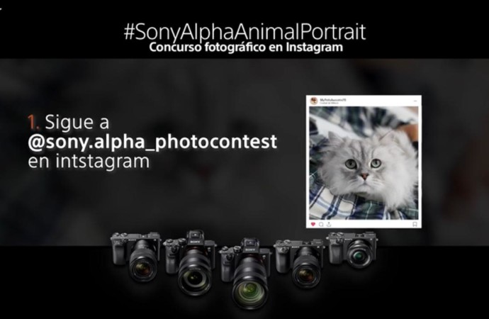 Captura la mirada de tu mascota y participa en el concurso fotográfico de retratos de animales de Sony en Instagram
