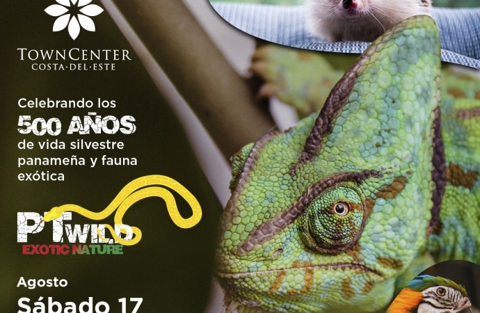Exhibición de vida silvestre panameña y fauna exótica en Town Center Costa del Este