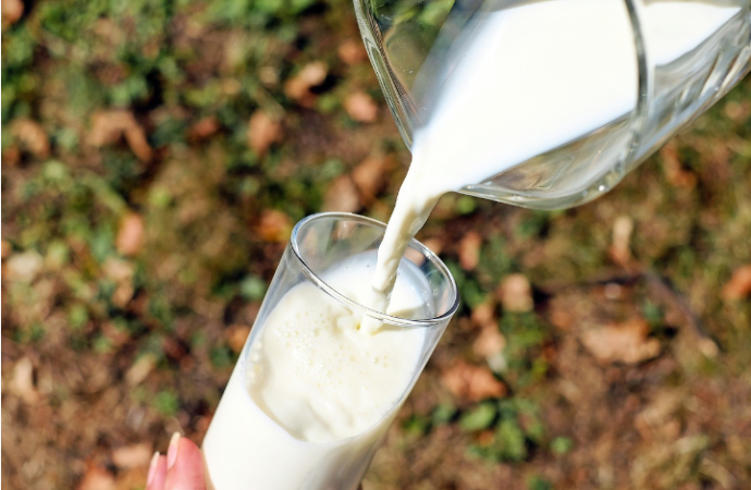 Productos lácteos descremados y sin azúcar añadido sí están permitidos en la dieta de una persona con Diabetes Mellitus