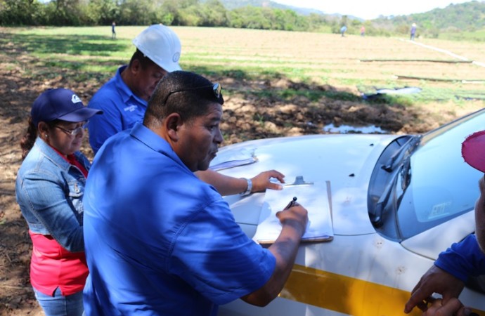 Empresas agroexportadoras en Veraguas acatan normas contra el Trabajo Infantil