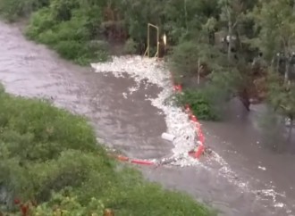 Fundación Marea Verde adelanta acciones tras ruptura de la barrera de desechos BOB, en el río Matías Hernández