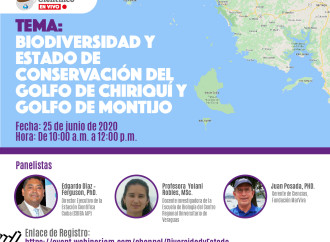 Café científico virtual: «Biodiversidad y estado de conservación del Golfo de Chiriquí y Golfo de Montijo»