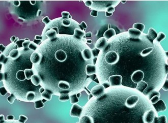 El riesgo del coronavirus del que no se habla: la alimentación