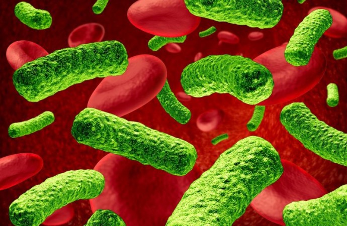¿Cuáles son las superbacterias que pueden generar una sepsis y resistencia a los antimicrobianos?